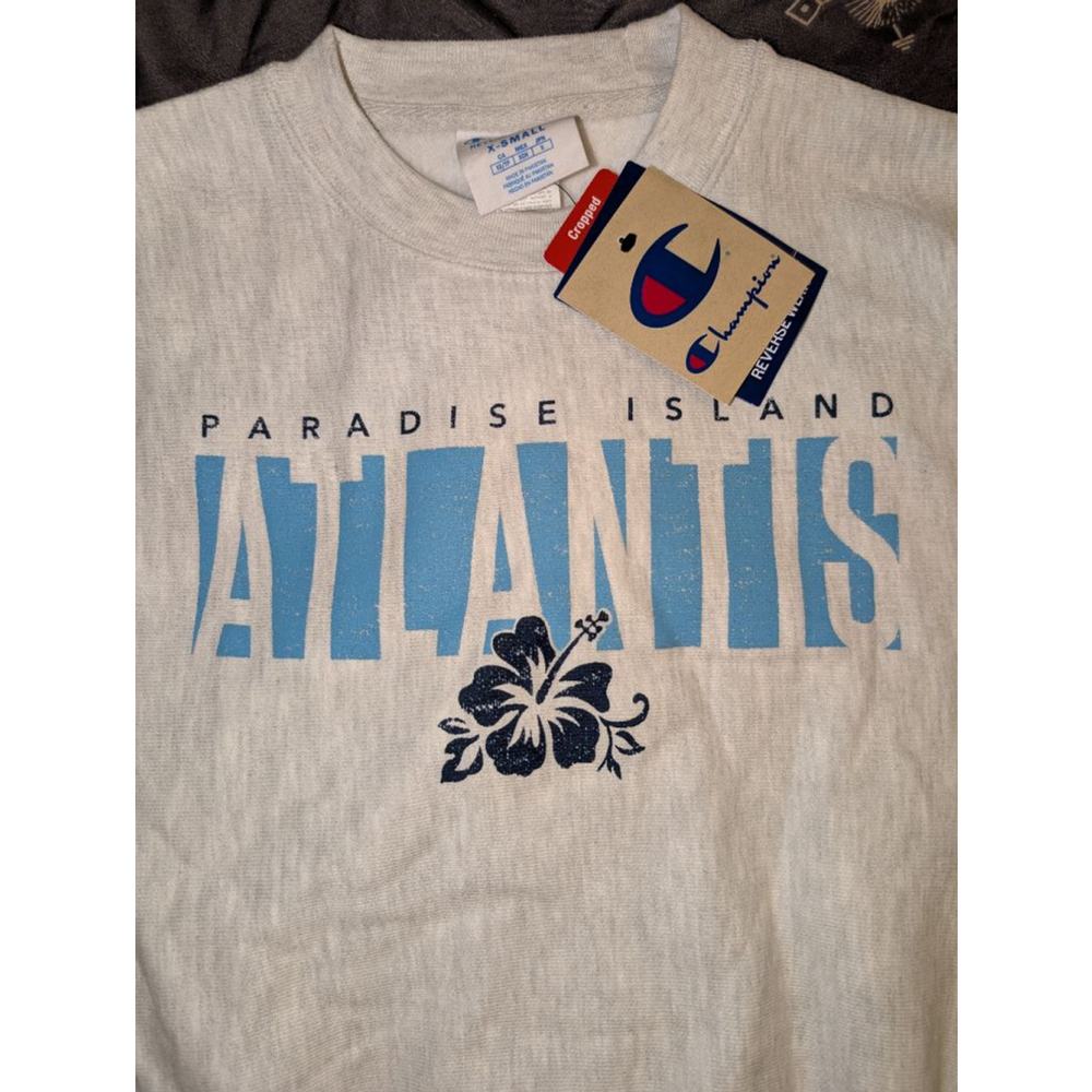 Champion Grey Blue Cropped Sweatshirt Womens XS - Picture 2 of 6